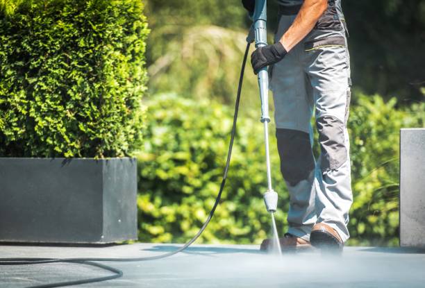 Animal Enclosure Cleaning in Lykens, PA